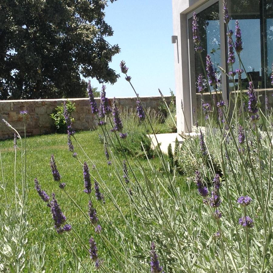 Lidea Boutique Hotel Potamos  외부 사진